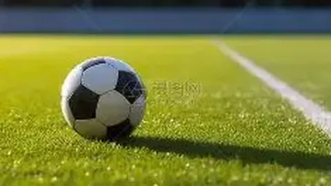 188金宝博官网 产品 084739 roo